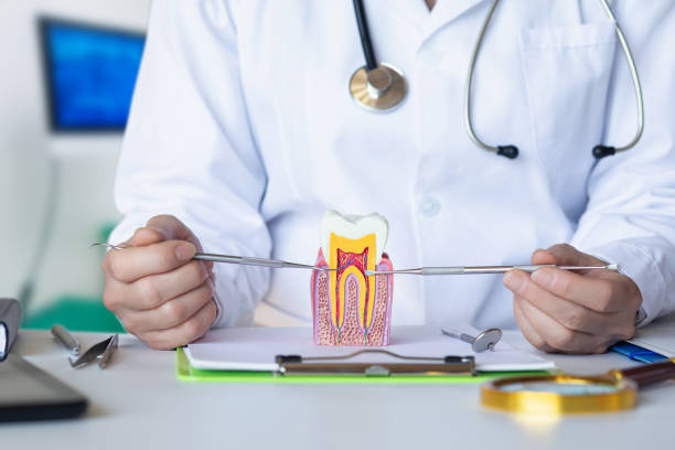Best Emergency Dentist for Knocked-Out Tooth in Stony Point, MI